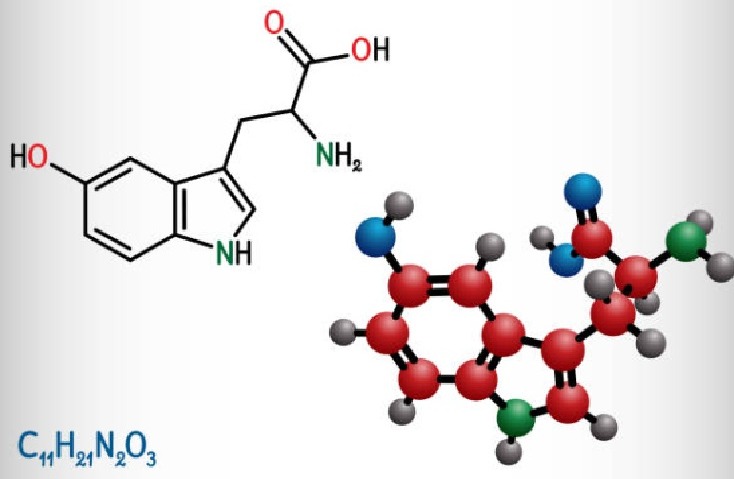 5-HTP Molecule