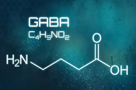 GABA Molecule